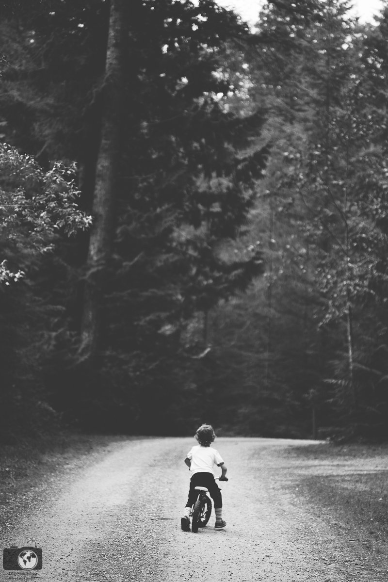Little boy riding his bike into the woods