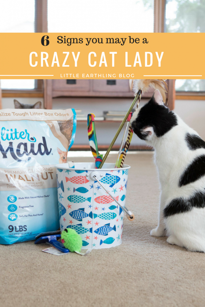 Signs you are becoming a crazy cat lady.